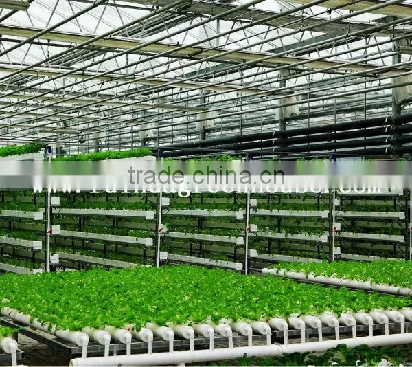 Vegetable-growing Greenhouse-commercial Greenhouses photo-4