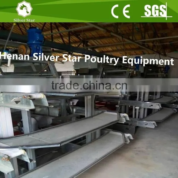 Automatic Egg Collecting Machine for Chicken Layer House Shed photo-3