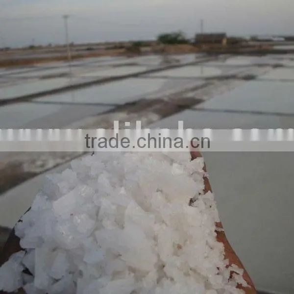 Raw Salt ( Crystal Salt)
