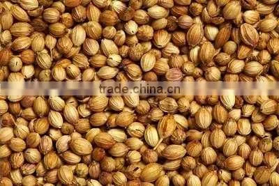 Coriander Seeds