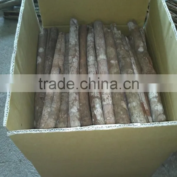 VIETNAM WHOLE CASSIA