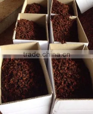 MANUFACTURER OF SPRING STAR ANISE photo-3