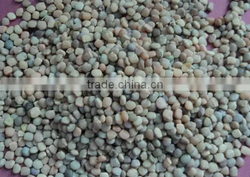 Grade A Guar Seeds For Guar Gum