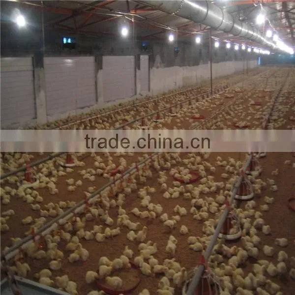 Computer-controlled Poultry Feeding System photo-6