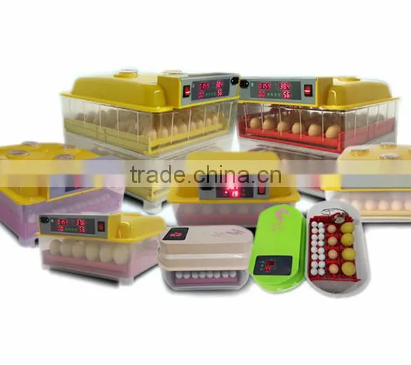 WQ-12 Capacity 12 Eggs Incubator and Hatcher From China