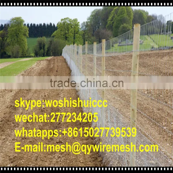 Wholesale High Tension 1980N Hinged Joint Field Fence For Sales photo-6