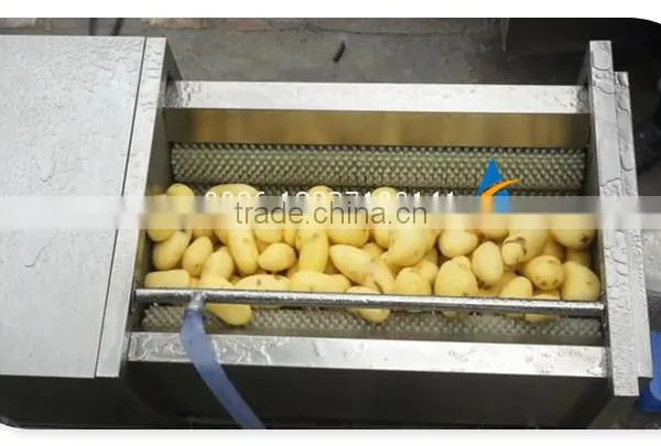 Fruit Vegetable Washing Machine Cassava Peeling and Washing Machine photo-6