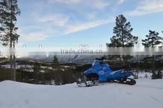Cheap Price 2016 New 200cc Kid Snowmobile/snowscooter photo-6