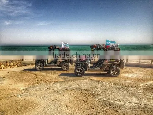 BUGGY 800 photo-3