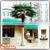 Artificial Palm Tree Fiberglass Material Outdoor/indoor Decoration Electric Palm Tree photo-3