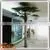 Artificial Palm Tree Fiberglass Material Outdoor/indoor Decoration Electric Palm Tree photo-5
