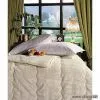Sell Plush Quilt
