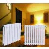 Cast Iron Decoration TSB2008 Radiator