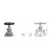 Class 150~1500 Cast Steel Globe Valve
