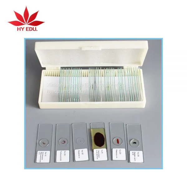 Individual Microscope Prepared Slides Medical Parasite Microscope Slides