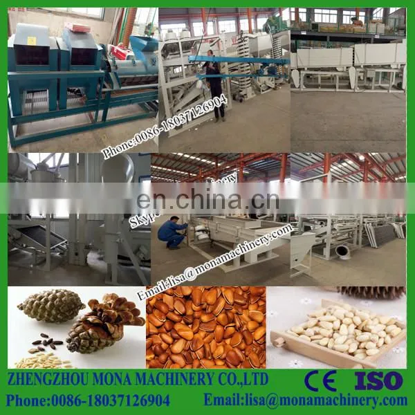 Pinenut Hulling Machine| Pinenut Sheller and Separation Machine photo-5