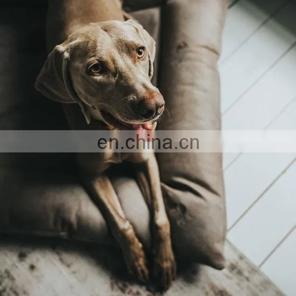 Warming Dog Beds Rectangle Washable Pet Bed With Breathable Fabric Sleeping Orthopedic Beds photo-5