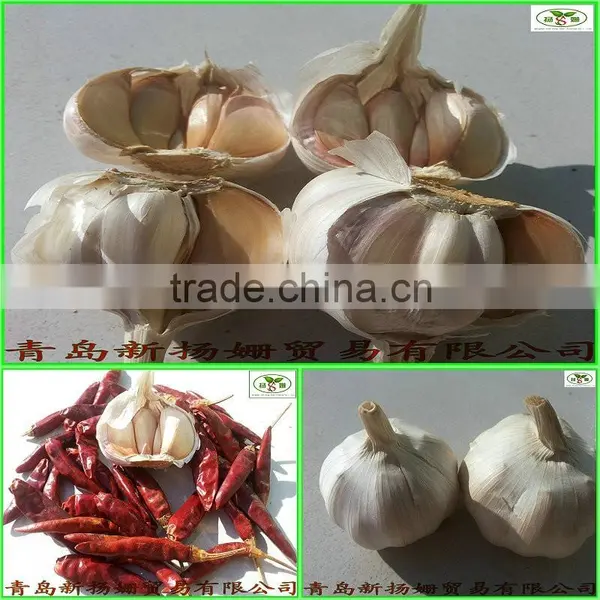 [HOT]2014 Fresh White Garlic Quality Agriculture Wholesale China/Garlic photo-2