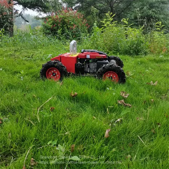 Track Mower, China Remote Mower for Sale Price, R/c Lawn Mower for Sale photo-2