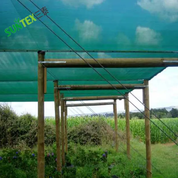 65% Shading Green Shade Net Roll 2*50m 4*50m 6*50m 8*50m Woven Shade Fabric for Plants Garden Ready to Ship photo-5
