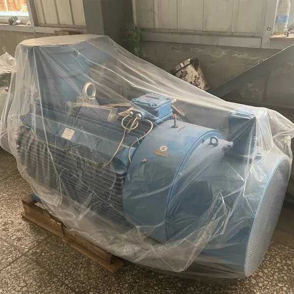 Wolong Electric Nanyang Explosion-proof Ybk3 Ybbp-315s m l1 L2-10/45kw 55kw 75kw 90kw /380v/660v Ip55 Bt4 di Ct4 in Stock for Sale photo-2