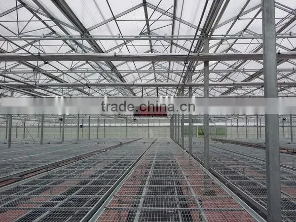 Hot Sale Greenhouse Farming Equipment photo-2