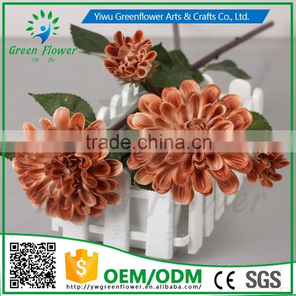 Greenflower 2016 Barberton Daisy Real Touch Two Herbaceous Peony Wedding Decrations Flowers photo-2