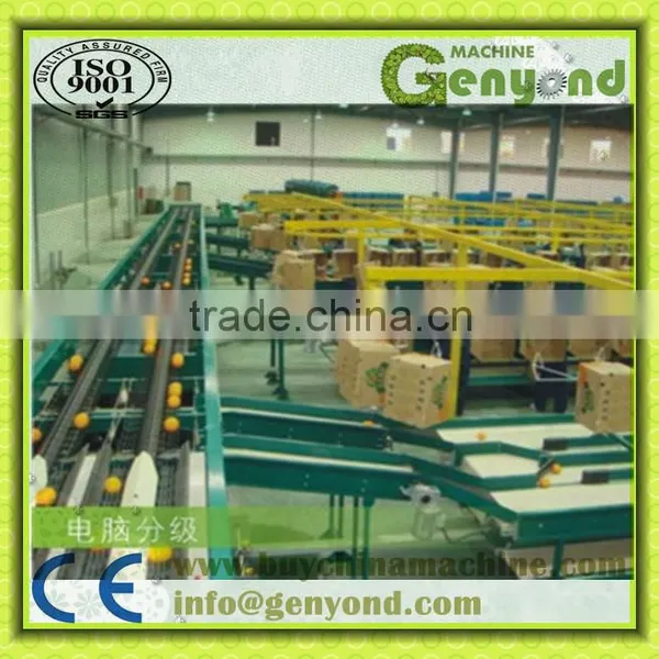 Fruit Photoelectronic Grading Line photo-4