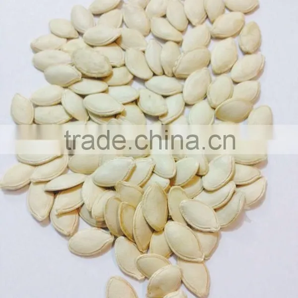Bulk Vegetable Seeds China Shine Skin Pumpkin Seeds Grade a photo-4