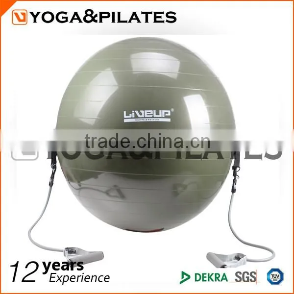 Gym Ball With Handle Expander