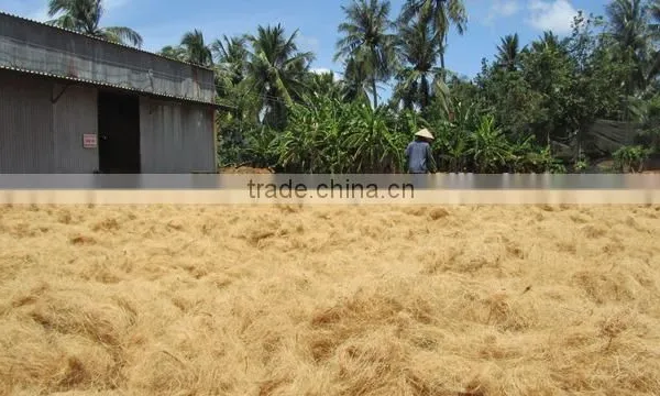 COCONUT FIBER FOR MATTRESS - ECO FRIENDLY PRODUCT photo-2