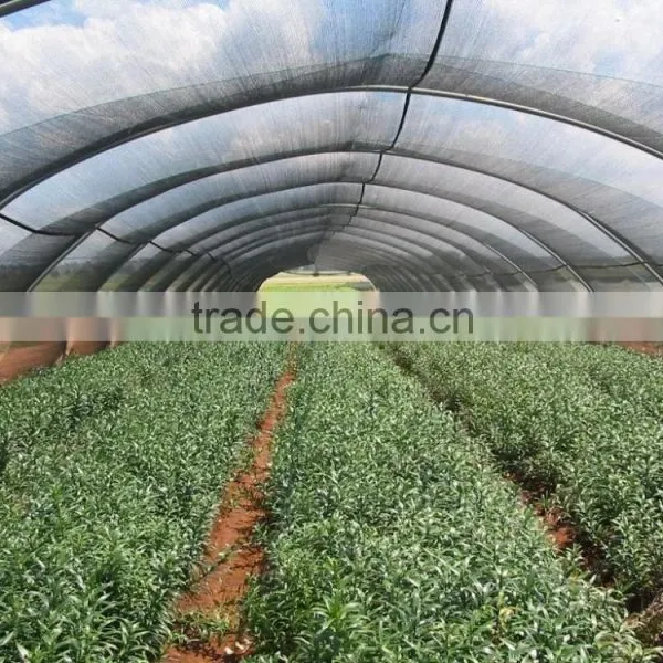 30% Agriculture HDPE Tape Shading Net , Cheap Netting photo-5