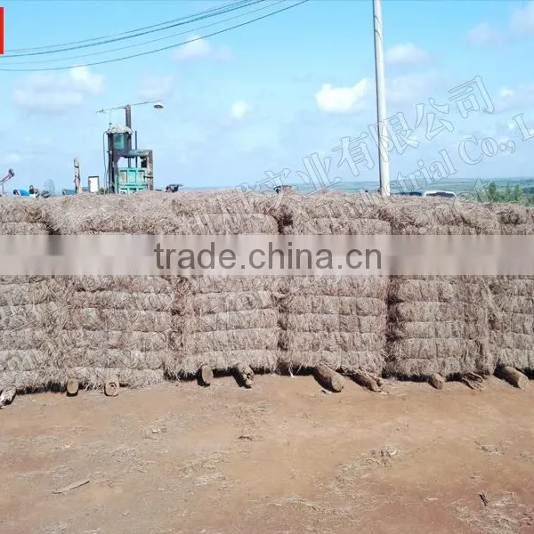 Tailand Bale Coconut Fiber Opening Machine photo-6