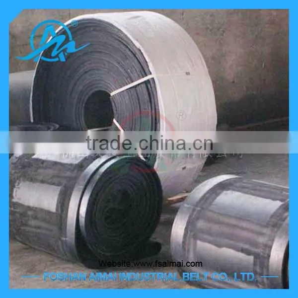 Nylon Fabric Conveyor Belt photo-2