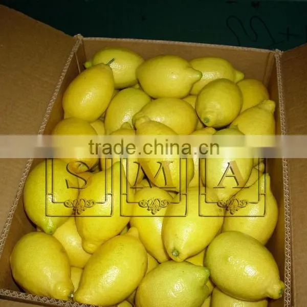 Lemon photo-2
