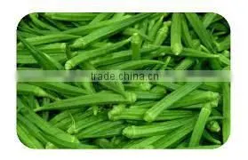 OKRA