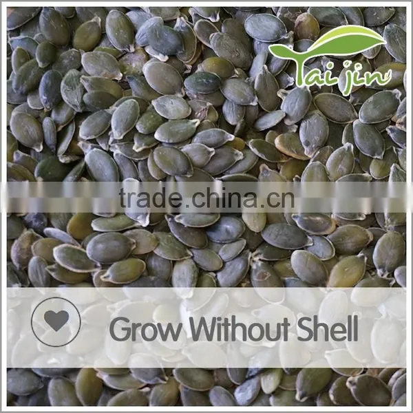 Organic Pumpkin Seeds Kernel GWS photo-2