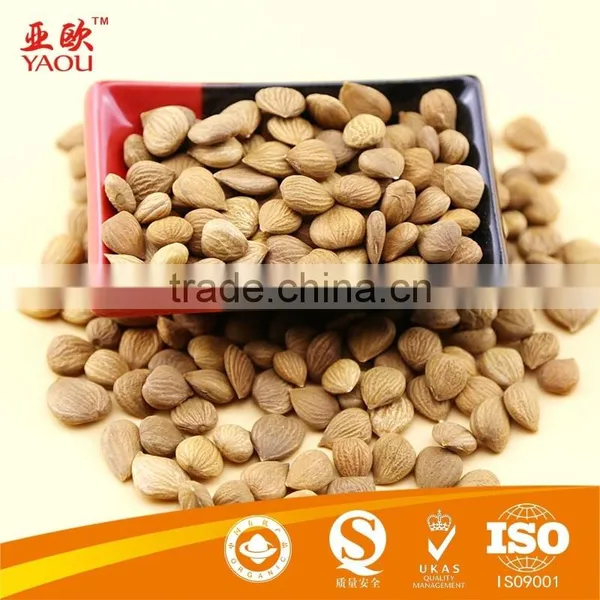 Bitter Apricot Kernels