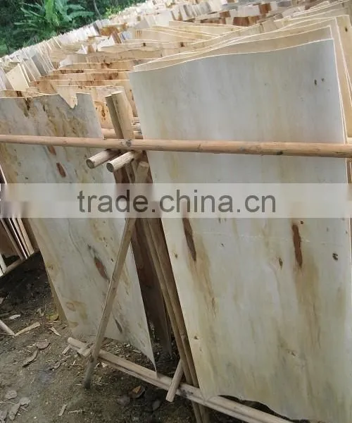 Acacia Rotary Veneer for Malaysia Market photo-4
