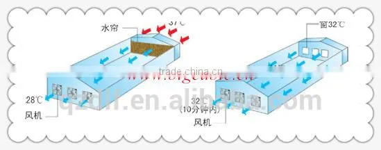 Cooling Pad for Poultry/greenhouse/animal House photo-6