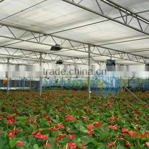 Multi Span Agricultural Double Layer Hollow Glass Greenhouse ISO9001:2008 photo-2