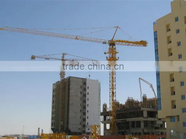 Hot Sale Tower Crane QTZ250