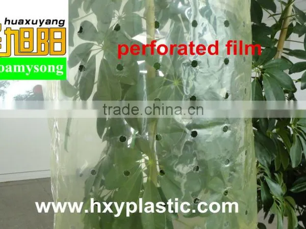 Green Color PE Agricultural Plastic Perforated Film With UV for Protective Tomato Tree photo-5