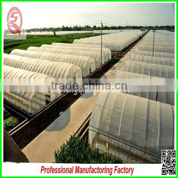 China Multi/single Span Plastic Film Greenhouse Agriculture for Sale photo-6