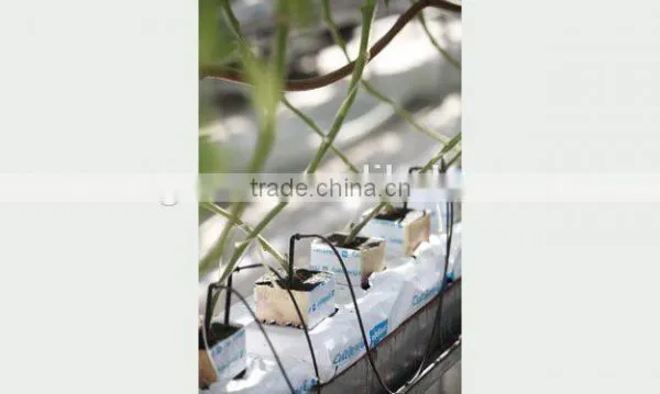 Fertigation System photo-5