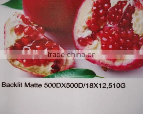 680g 1000*1000 20*20 Laminated Blockout Pvc Flex Banner photo-4