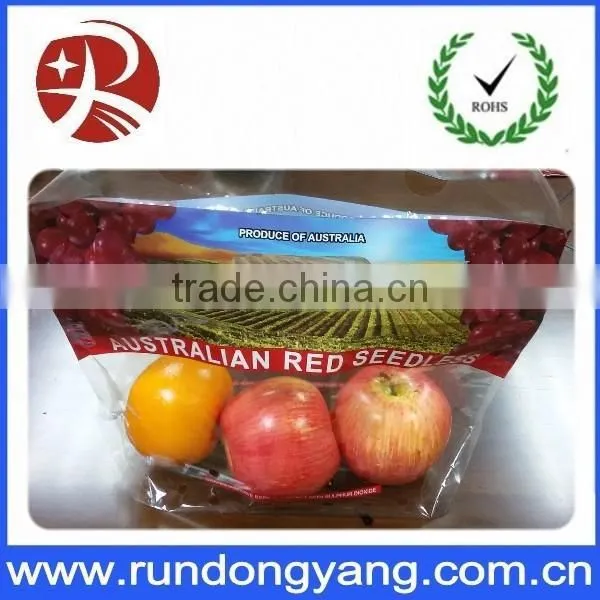 Stand up Pouch Zipper Fruit Packing Bag With Air Holes and Handle photo-2
