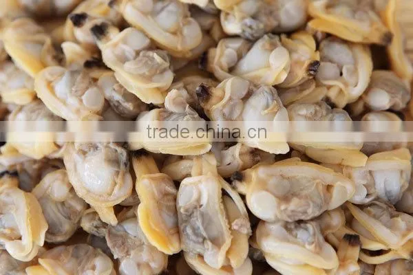 Frozen Boiled Baby Clam Meat photo-3