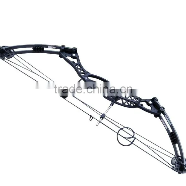Archery Hunting Compound Bow,AMBIDEXTROUS BOW