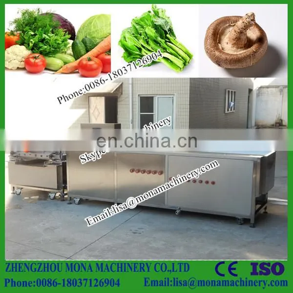 Industrial Fruit And Vegetable Washing Equipment/cleaner Machine photo-2